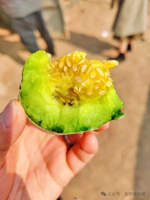 超皮吃瓜,网络红人的崛起与争议