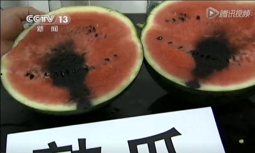 揭秘吃瓜图片,图片背后的真相与影响