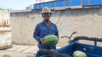 吃瓜群众热门版,揭秘娱乐圈最新热点事件