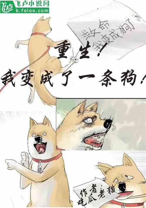 吃瓜澄清小说免费阅读