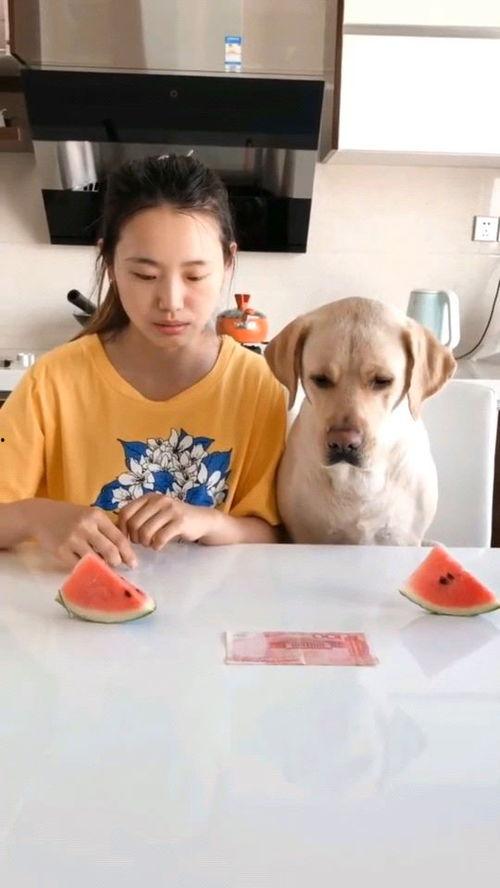 近期热门吃瓜视频,娱乐圈幕后真相大曝光！