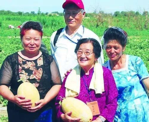 罗教授吃瓜,一场别开生面的吃瓜盛宴