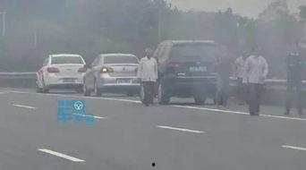 汽车追尾吃瓜群众,汽车与吃瓜群众的意外邂逅