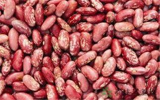 乌兰花吃瓜视频