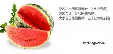 禾青吃瓜,揭秘娱乐圈背后的那些事儿