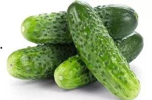 坐在瓜地吃瓜,夏日悠闲时光